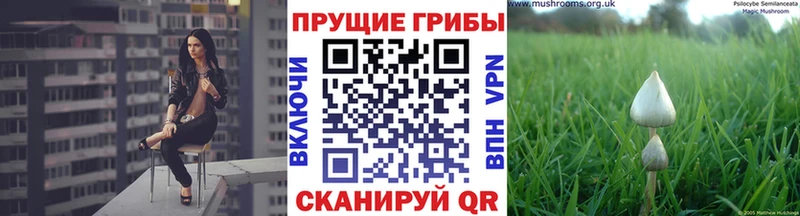 блэк спрут ссылки  Покровск  Галлюциногенные грибы мухоморы 